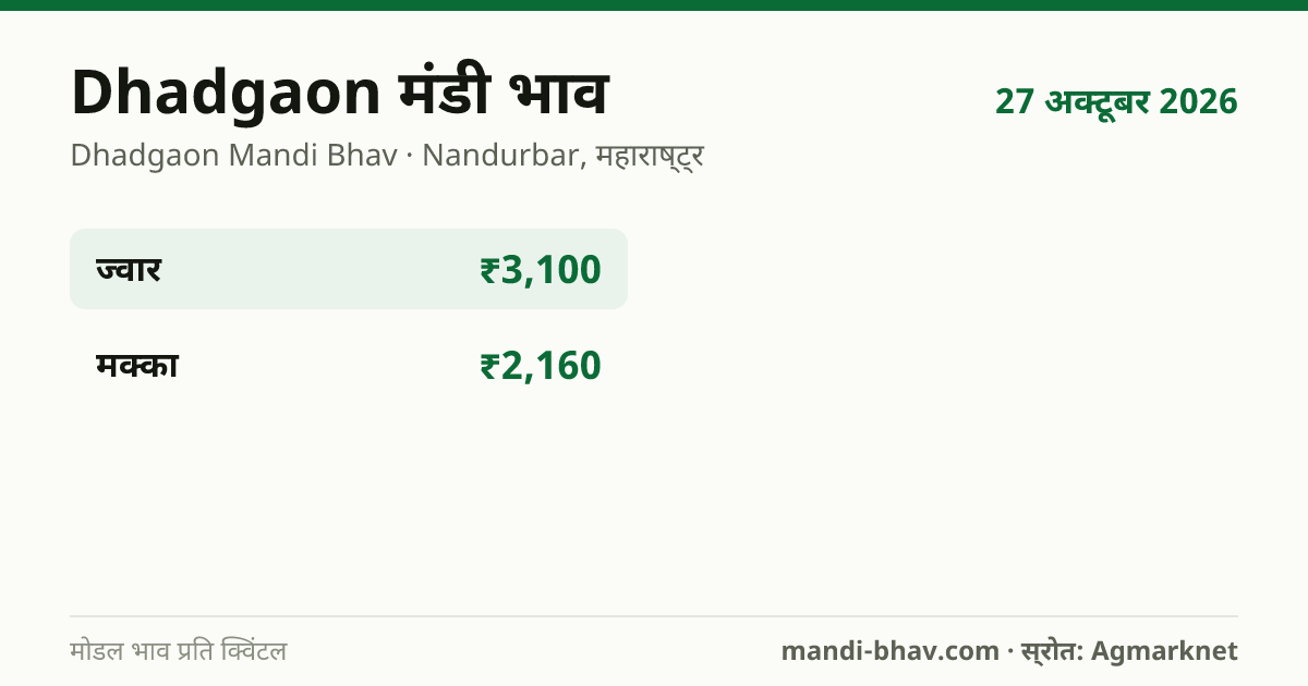 Dhadgaon मंडी भाव 27 अक्टूबर 2026: फसलवार मोडल रेट प्रति क्विंटल