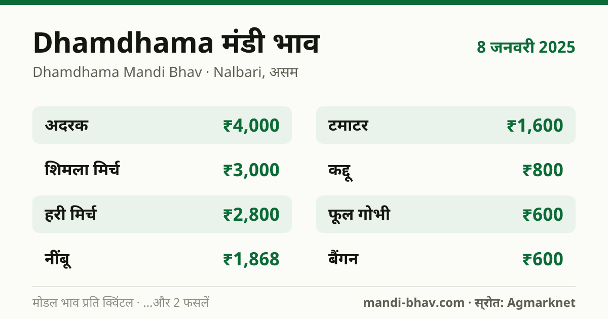 Dhamdhama मंडी भाव 8 जनवरी 2025: फसलवार मोडल रेट प्रति क्विंटल