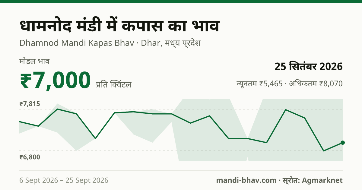 धामनोद मंडी में कपास का भाव 25 सितंबर 2026: मोडल ₹7,000 प्रति क्विंटल, भाव के रुझान का चार्ट
