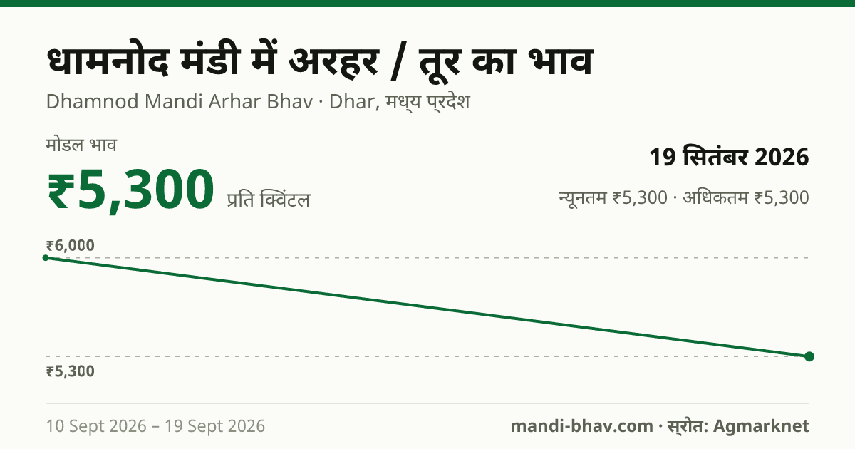 धामनोद मंडी में अरहर / तूर का भाव 19 सितंबर 2026: मोडल ₹5,300 प्रति क्विंटल, भाव के रुझान का चार्ट