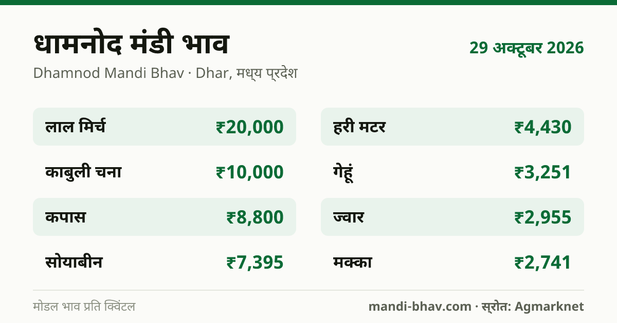 धामनोद मंडी भाव 29 अक्टूबर 2026: फसलवार मोडल रेट प्रति क्विंटल
