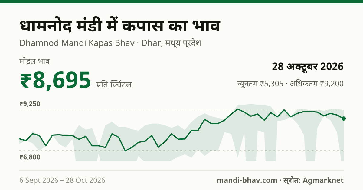 धामनोद मंडी में कपास का भाव 28 अक्टूबर 2026: मोडल ₹8,695 प्रति क्विंटल, भाव के रुझान का चार्ट