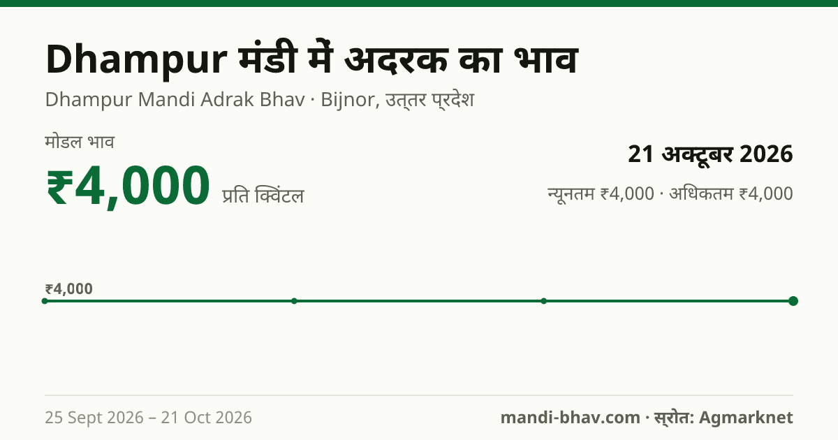 Dhampur मंडी में अदरक का भाव 21 अक्टूबर 2026: मोडल ₹4,000 प्रति क्विंटल, भाव के रुझान का चार्ट