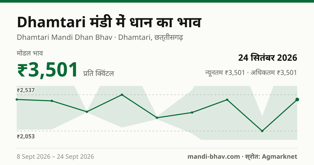 Dhamtari मंडी में धान का भाव 24 सितंबर 2026: मोडल ₹3,501 प्रति क्विंटल, भाव के रुझान का चार्ट