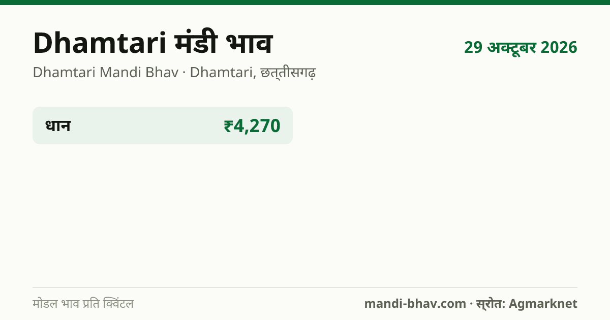 Dhamtari मंडी भाव 29 अक्टूबर 2026: फसलवार मोडल रेट प्रति क्विंटल