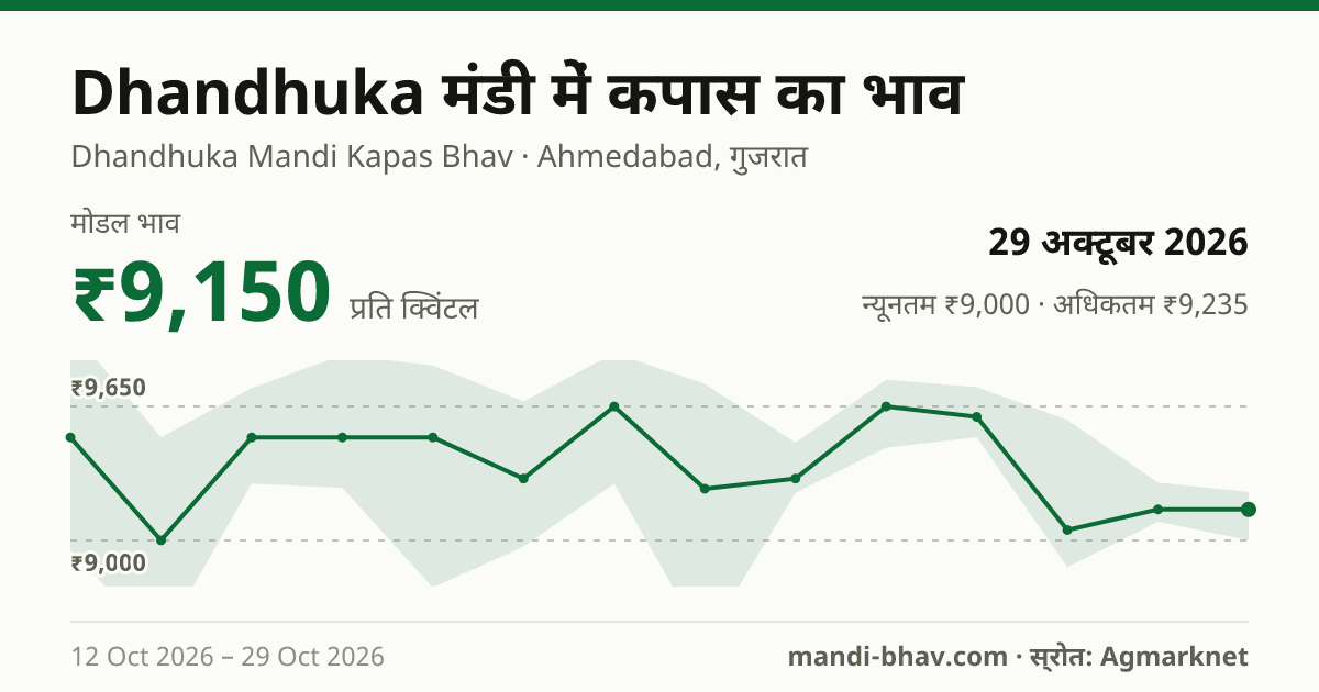 Dhandhuka मंडी में कपास का भाव 29 अक्टूबर 2026: मोडल ₹9,150 प्रति क्विंटल, भाव के रुझान का चार्ट