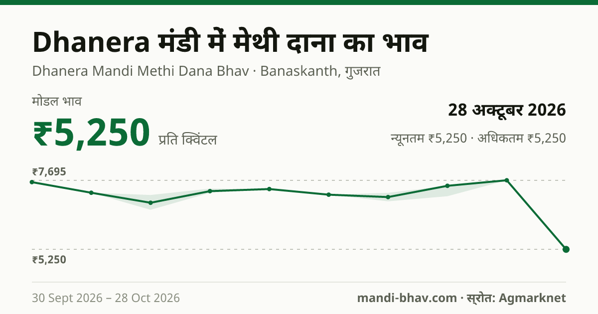 Dhanera मंडी में मेथी दाना का भाव 28 अक्टूबर 2026: मोडल ₹5,250 प्रति क्विंटल, भाव के रुझान का चार्ट