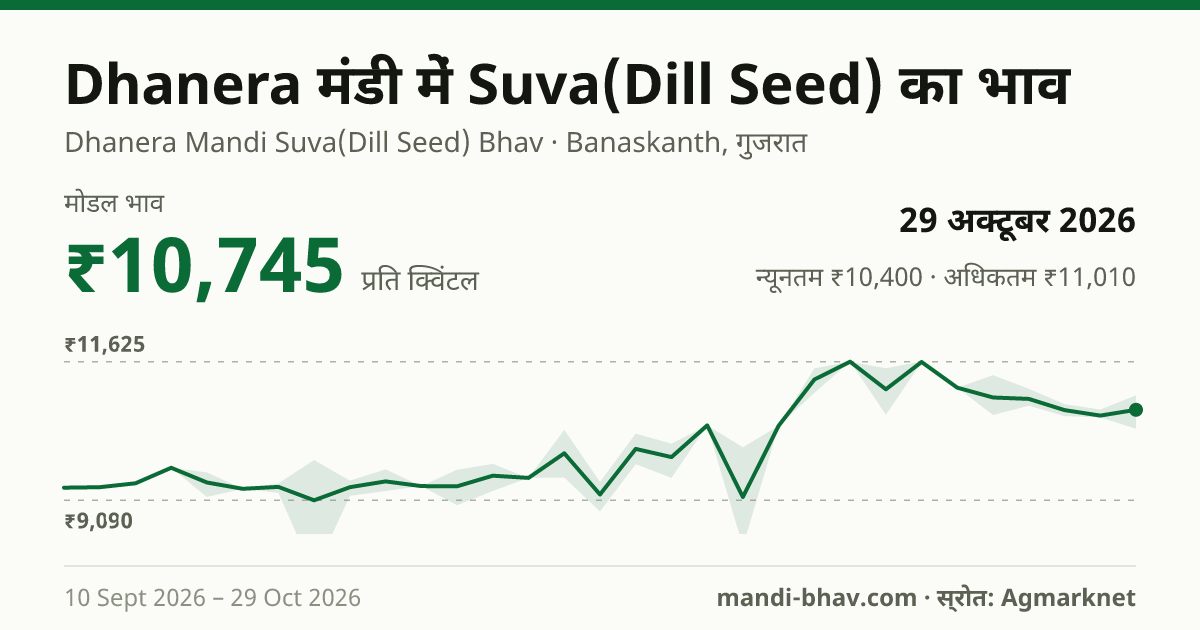 Dhanera मंडी में Suva(Dill Seed) का भाव 29 अक्टूबर 2026: मोडल ₹10,745 प्रति क्विंटल, भाव के रुझान का चार्ट