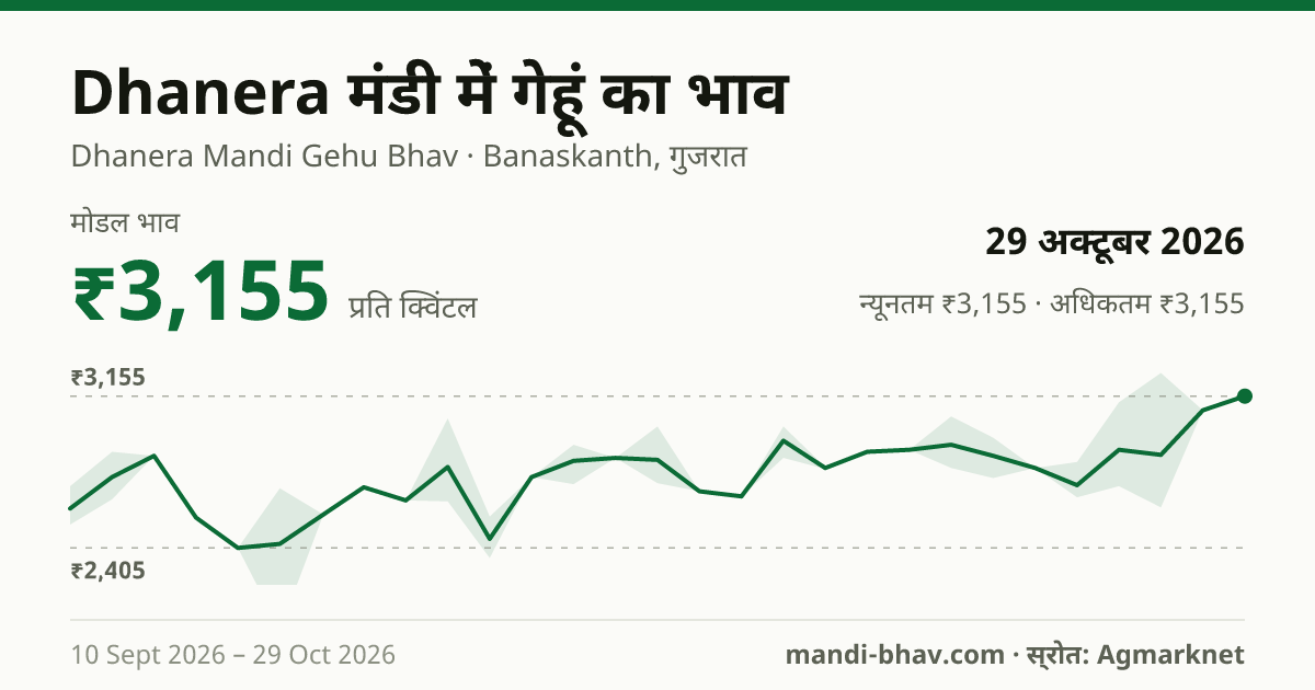 Dhanera मंडी में गेहूं का भाव 29 अक्टूबर 2026: मोडल ₹3,155 प्रति क्विंटल, भाव के रुझान का चार्ट