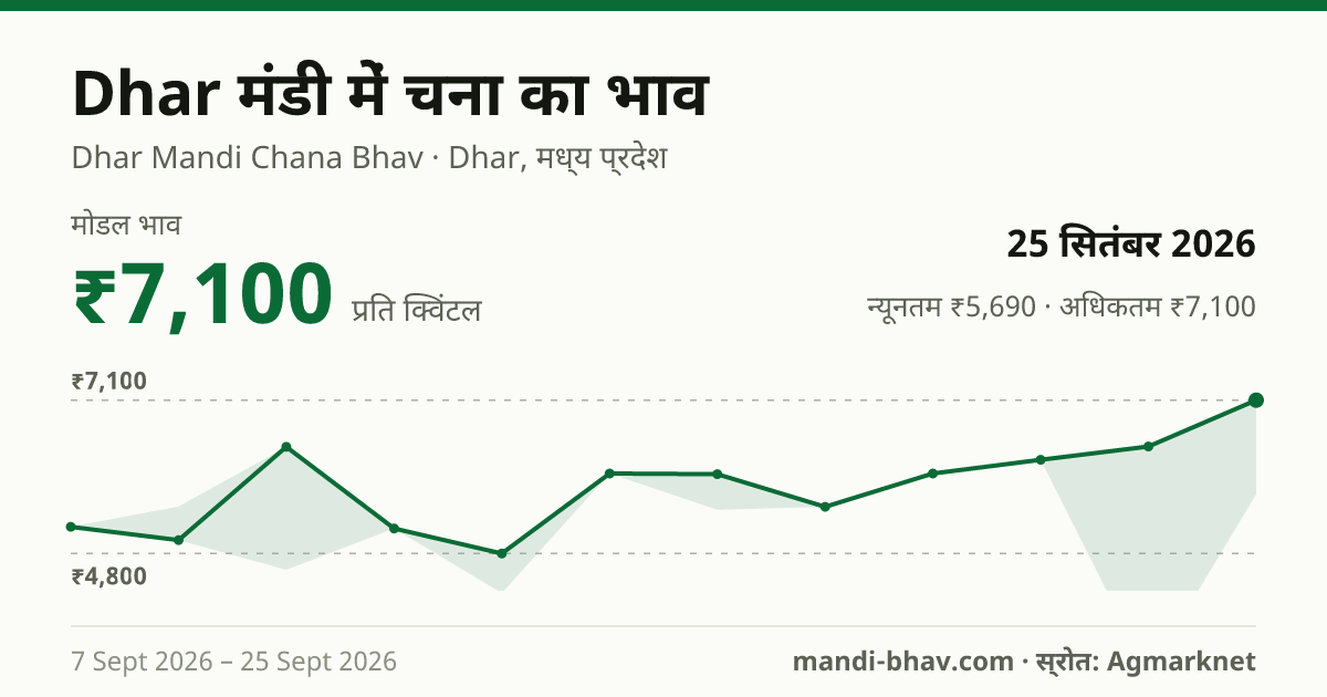 Dhar मंडी में चना का भाव 25 सितंबर 2026: मोडल ₹7,100 प्रति क्विंटल, भाव के रुझान का चार्ट