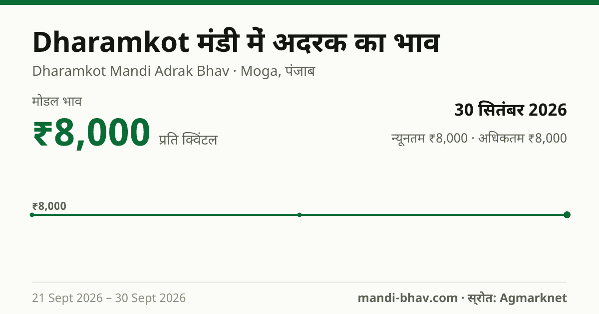Dharamkot मंडी में अदरक का भाव 30 सितंबर 2026: मोडल ₹8,000 प्रति क्विंटल, भाव के रुझान का चार्ट