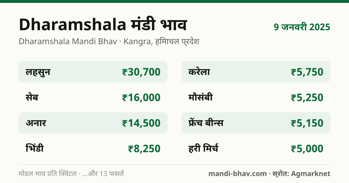 Dharamshala मंडी भाव 9 जनवरी 2025: फसलवार मोडल रेट प्रति क्विंटल