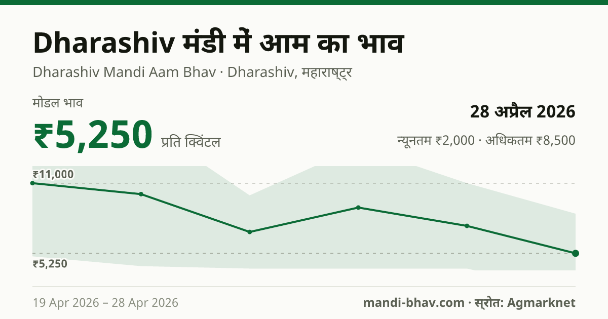 Dharashiv मंडी में आम का भाव 28 अप्रैल 2026: मोडल ₹5,250 प्रति क्विंटल, भाव के रुझान का चार्ट