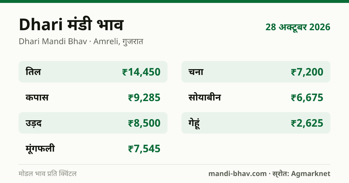 Dhari मंडी भाव 28 अक्टूबर 2026: फसलवार मोडल रेट प्रति क्विंटल