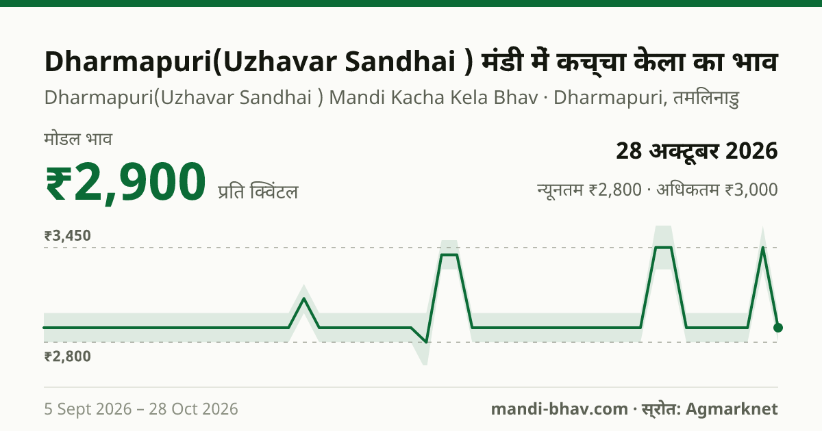 Dharmapuri(Uzhavar Sandhai ) मंडी में कच्चा केला का भाव 28 अक्टूबर 2026: मोडल ₹2,900 प्रति क्विंटल, भाव के रुझान का चार्ट