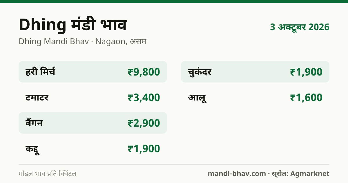Dhing मंडी भाव 3 अक्टूबर 2026: फसलवार मोडल रेट प्रति क्विंटल