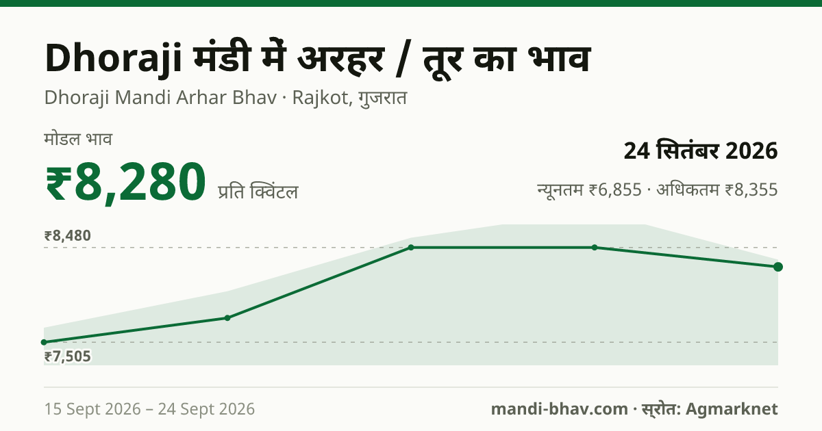 Dhoraji मंडी में अरहर / तूर का भाव 24 सितंबर 2026: मोडल ₹8,280 प्रति क्विंटल, भाव के रुझान का चार्ट