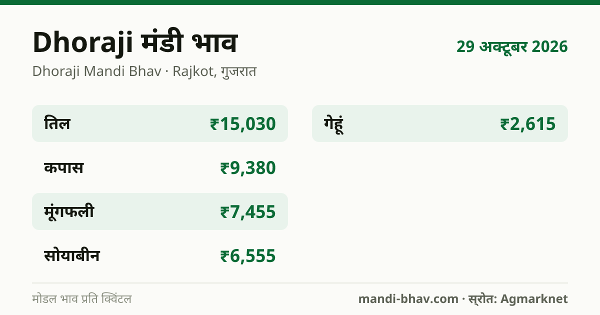 Dhoraji मंडी भाव 29 अक्टूबर 2026: फसलवार मोडल रेट प्रति क्विंटल