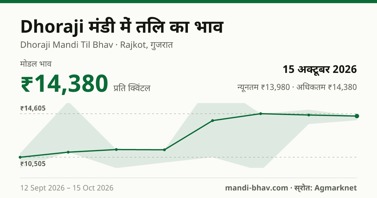 Dhoraji मंडी में तिल का भाव 15 अक्टूबर 2026: मोडल ₹14,380 प्रति क्विंटल, भाव के रुझान का चार्ट
