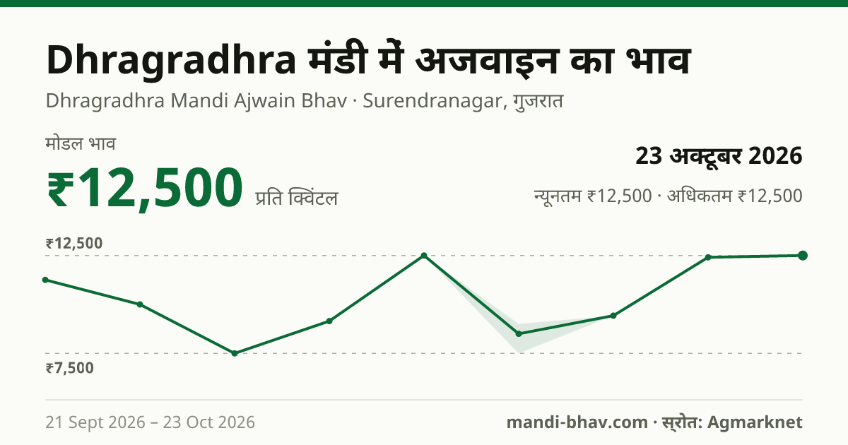 Dhragradhra मंडी में अजवाइन का भाव 23 अक्टूबर 2026: मोडल ₹12,500 प्रति क्विंटल, भाव के रुझान का चार्ट