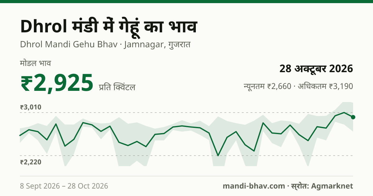Dhrol मंडी में गेहूं का भाव 28 अक्टूबर 2026: मोडल ₹2,925 प्रति क्विंटल, भाव के रुझान का चार्ट