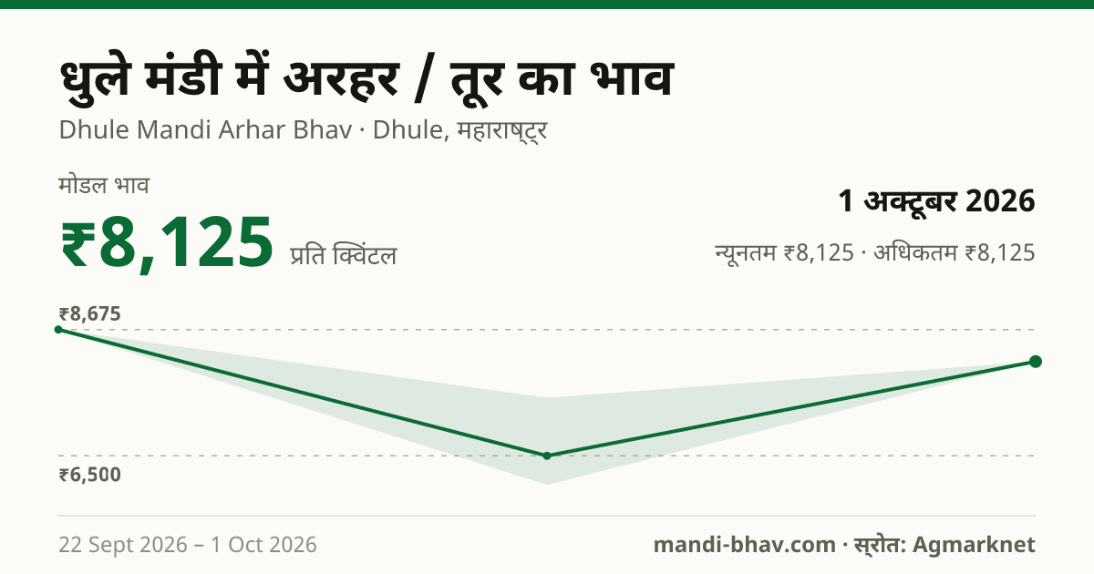 धुले मंडी में अरहर / तूर का भाव 1 अक्टूबर 2026: मोडल ₹8,125 प्रति क्विंटल, भाव के रुझान का चार्ट