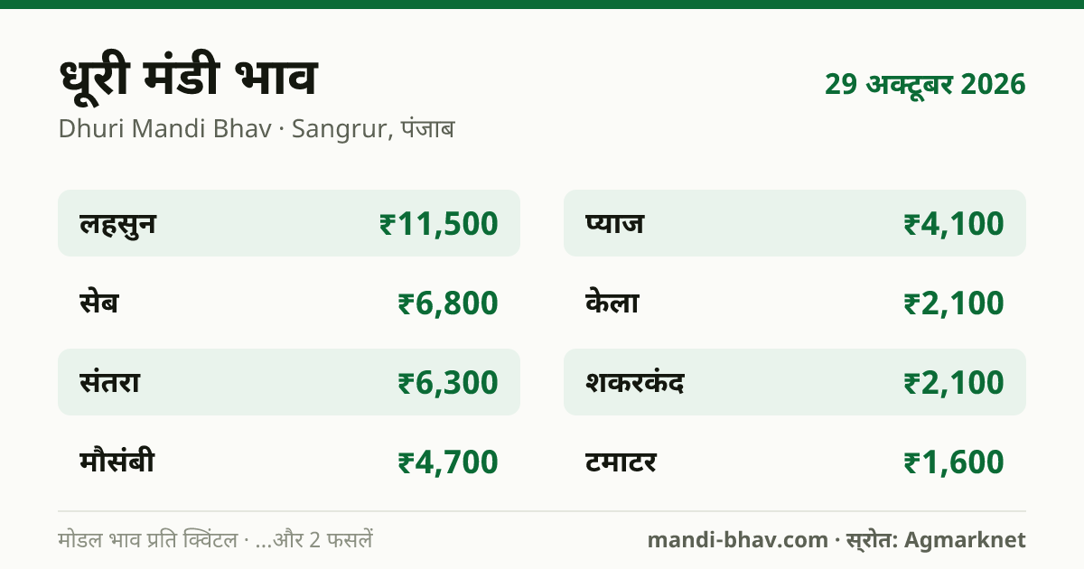 धूरी मंडी भाव 29 अक्टूबर 2026: फसलवार मोडल रेट प्रति क्विंटल