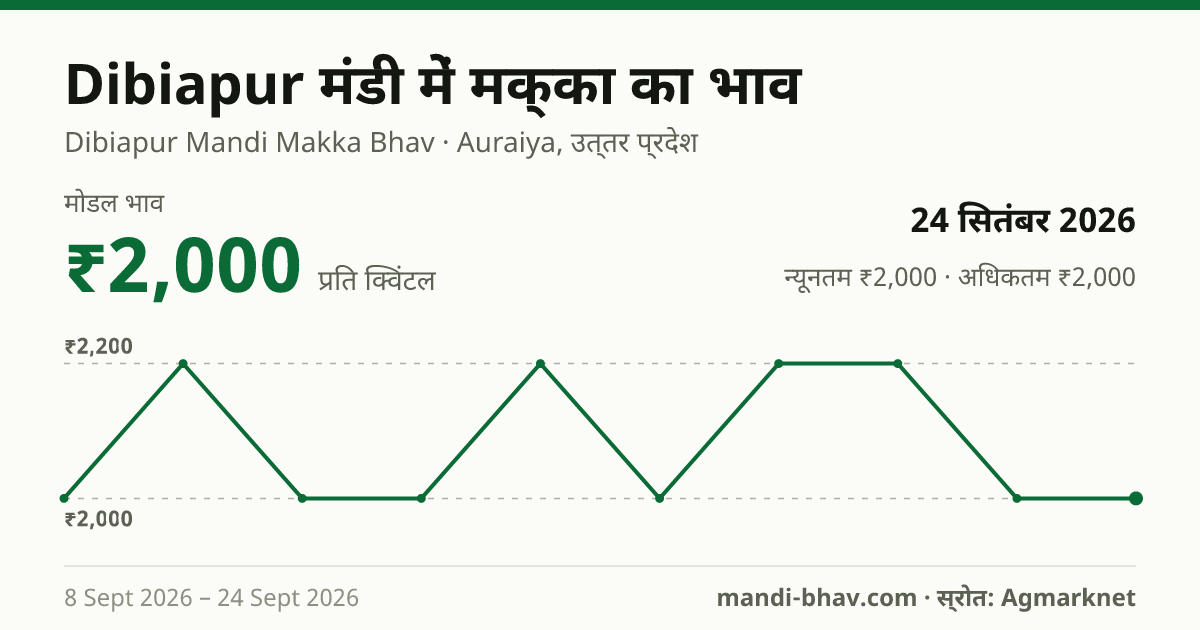 Dibiapur मंडी में मक्का का भाव 24 सितंबर 2026: मोडल ₹2,000 प्रति क्विंटल, भाव के रुझान का चार्ट