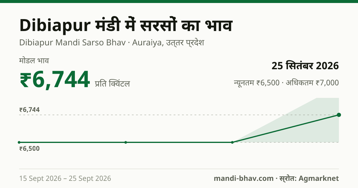 Dibiapur मंडी में सरसों का भाव 25 सितंबर 2026: मोडल ₹6,744 प्रति क्विंटल, भाव के रुझान का चार्ट