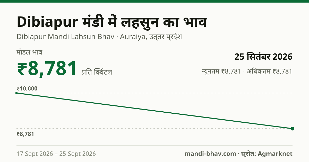 Dibiapur मंडी में लहसुन का भाव 25 सितंबर 2026: मोडल ₹8,781 प्रति क्विंटल, भाव के रुझान का चार्ट