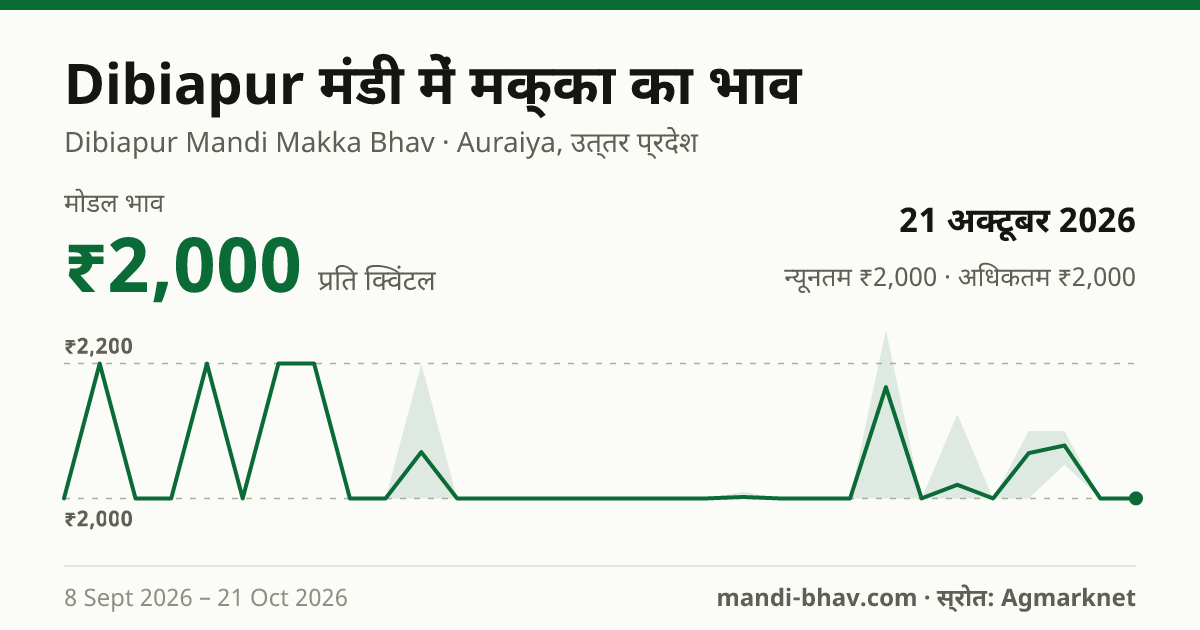 Dibiapur मंडी में मक्का का भाव 21 अक्टूबर 2026: मोडल ₹2,000 प्रति क्विंटल, भाव के रुझान का चार्ट