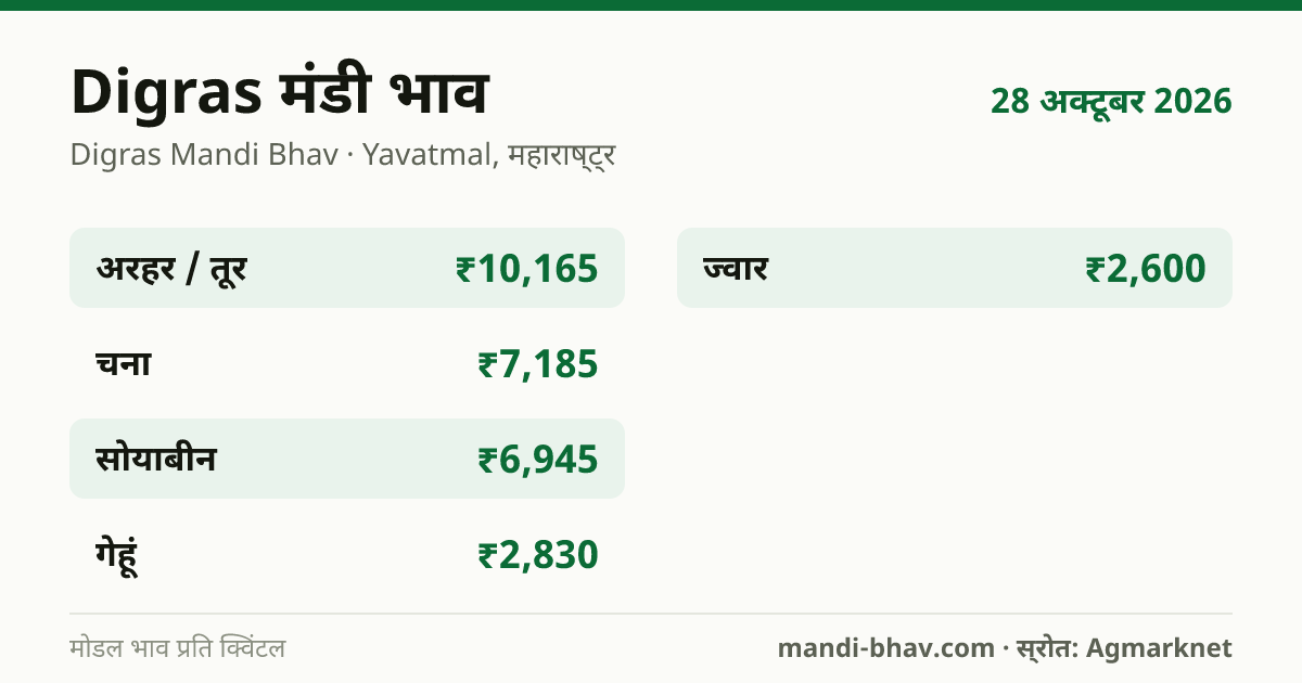 Digras मंडी भाव 28 अक्टूबर 2026: फसलवार मोडल रेट प्रति क्विंटल