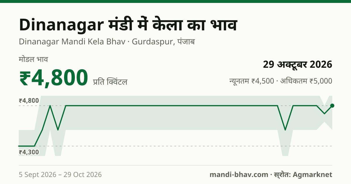 Dinanagar मंडी में केला का भाव 29 अक्टूबर 2026: मोडल ₹4,800 प्रति क्विंटल, भाव के रुझान का चार्ट