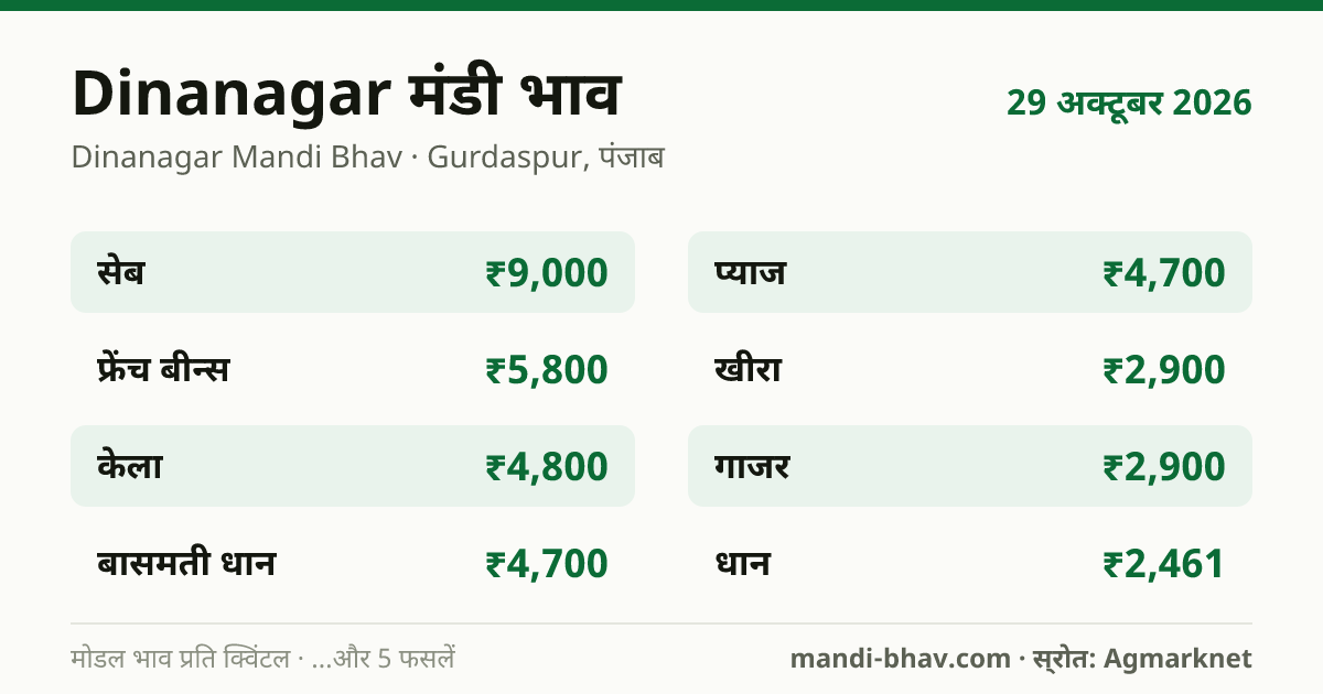 Dinanagar मंडी भाव 29 अक्टूबर 2026: फसलवार मोडल रेट प्रति क्विंटल