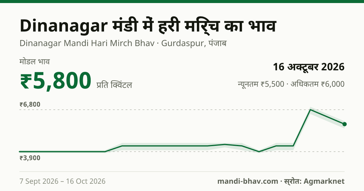 Dinanagar मंडी में हरी मिर्च का भाव 16 अक्टूबर 2026: मोडल ₹5,800 प्रति क्विंटल, भाव के रुझान का चार्ट