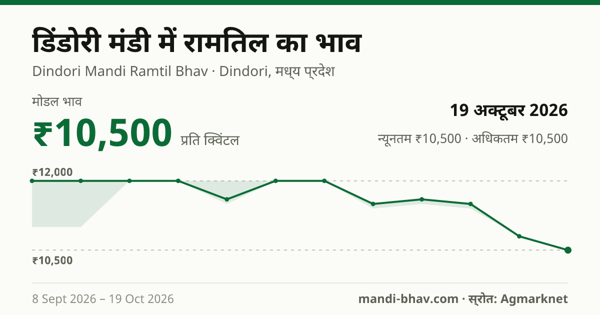 डिंडोरी मंडी में Niger Seed(Ramtil) का भाव 19 अक्टूबर 2026: मोडल ₹10,500 प्रति क्विंटल, भाव के रुझान का चार्ट