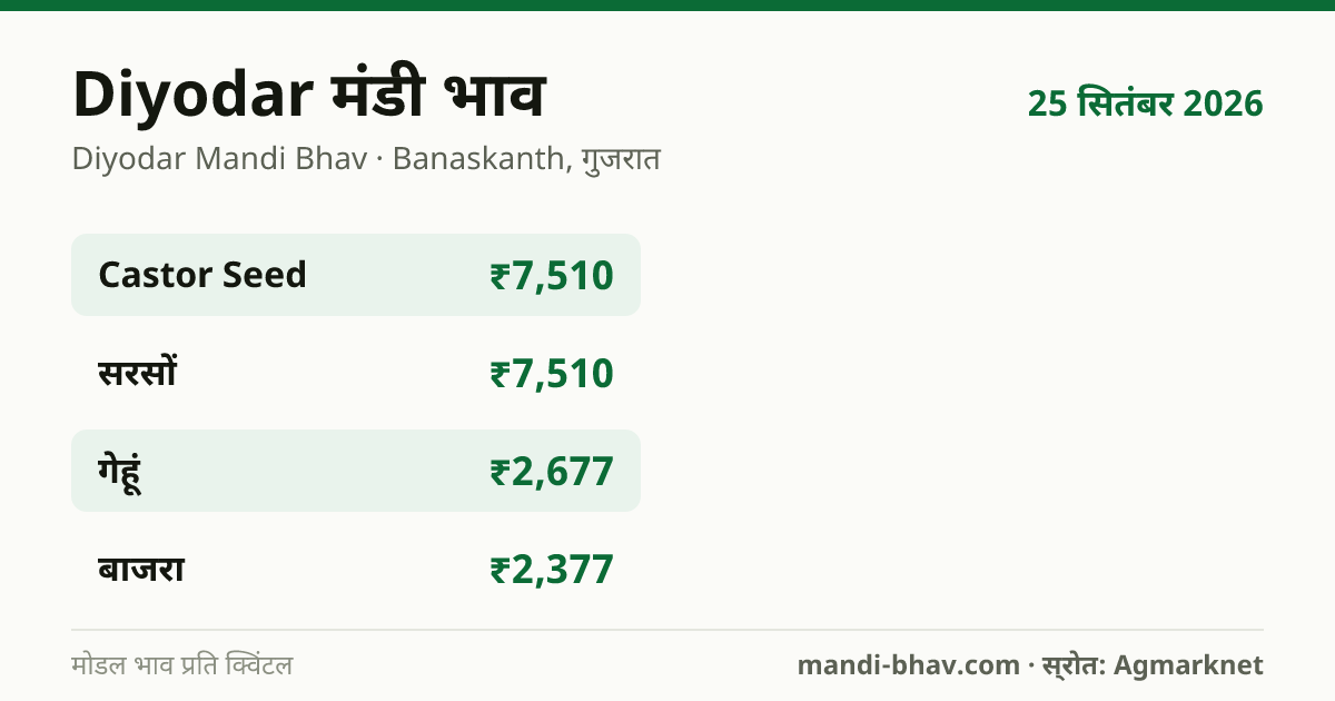 Diyodar मंडी भाव 25 सितंबर 2026: फसलवार मोडल रेट प्रति क्विंटल