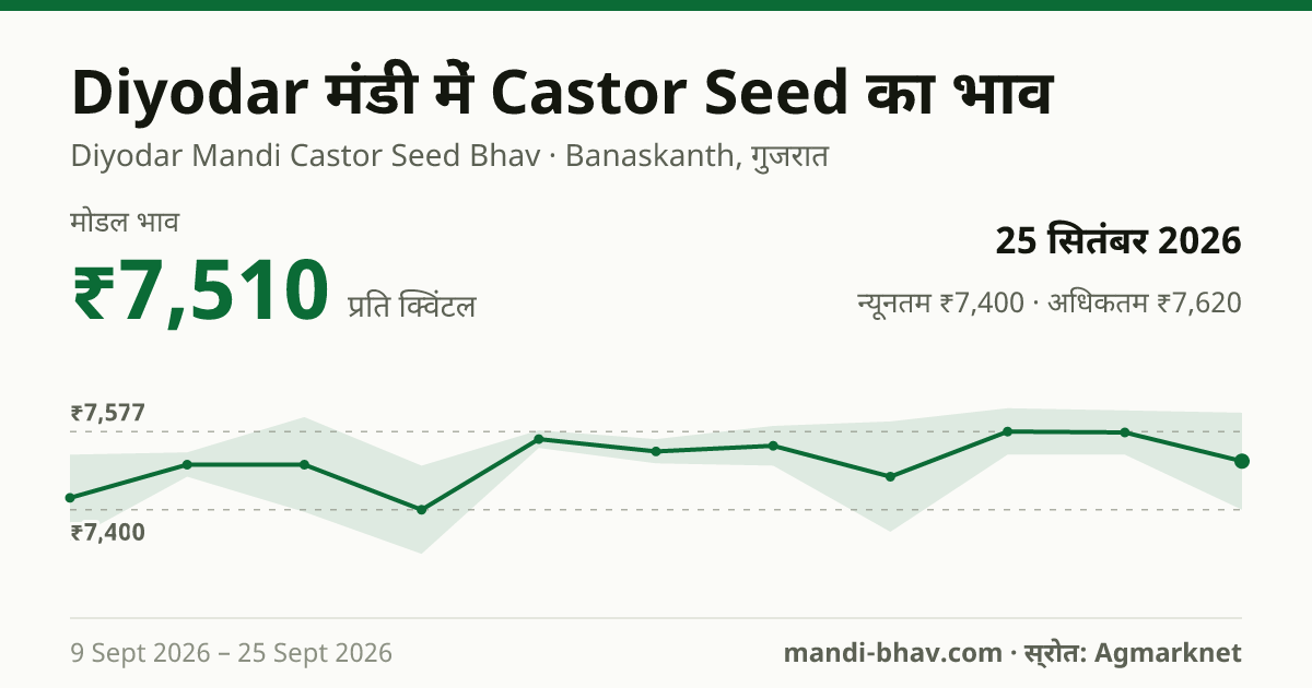 Diyodar मंडी में Castor Seed का भाव 25 सितंबर 2026: मोडल ₹7,510 प्रति क्विंटल, भाव के रुझान का चार्ट