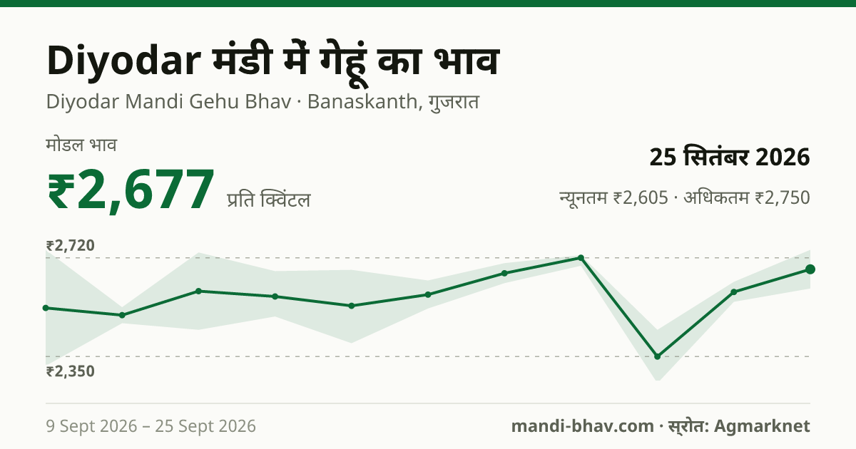 Diyodar मंडी में गेहूं का भाव 25 सितंबर 2026: मोडल ₹2,677 प्रति क्विंटल, भाव के रुझान का चार्ट