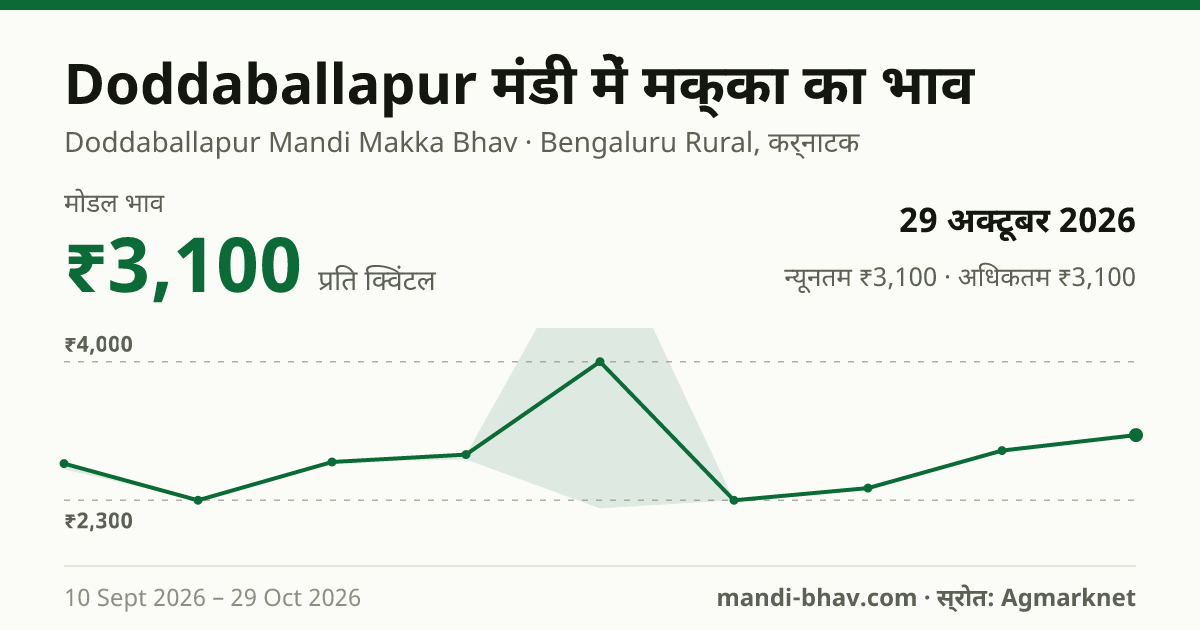 Doddaballapur मंडी में मक्का का भाव 29 अक्टूबर 2026: मोडल ₹3,100 प्रति क्विंटल, भाव के रुझान का चार्ट