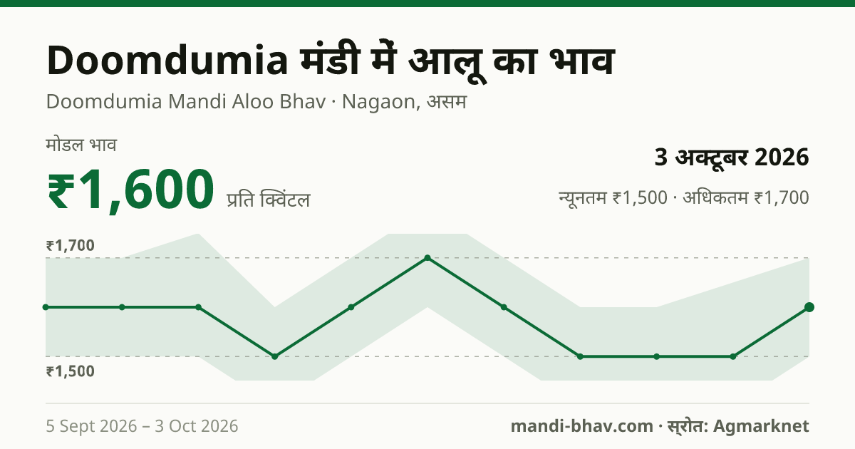 Doomdumia मंडी में आलू का भाव 3 अक्टूबर 2026: मोडल ₹1,600 प्रति क्विंटल, भाव के रुझान का चार्ट