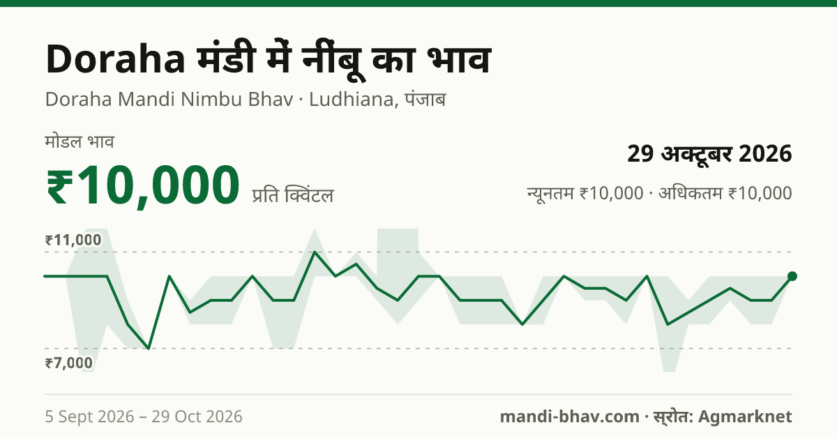 Doraha मंडी में नींबू का भाव 29 अक्टूबर 2026: मोडल ₹10,000 प्रति क्विंटल, भाव के रुझान का चार्ट