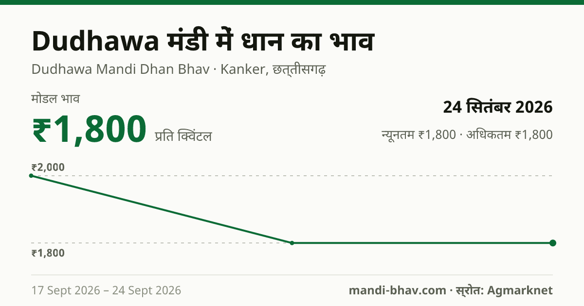 Dudhawa मंडी में धान का भाव 24 सितंबर 2026: मोडल ₹1,800 प्रति क्विंटल, भाव के रुझान का चार्ट