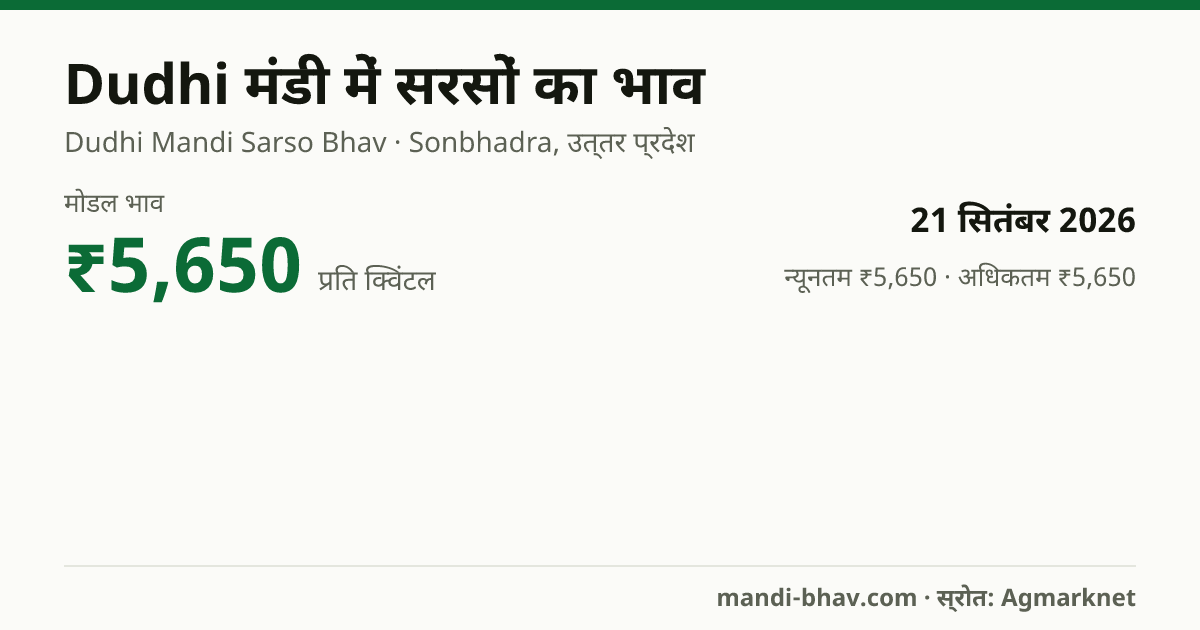 Dudhi मंडी में सरसों का भाव 21 सितंबर 2026: मोडल ₹5,650 प्रति क्विंटल, भाव के रुझान का चार्ट