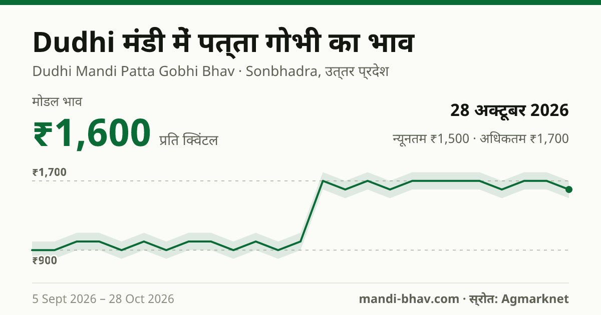 Dudhi मंडी में पत्ता गोभी का भाव 28 अक्टूबर 2026: मोडल ₹1,600 प्रति क्विंटल, भाव के रुझान का चार्ट