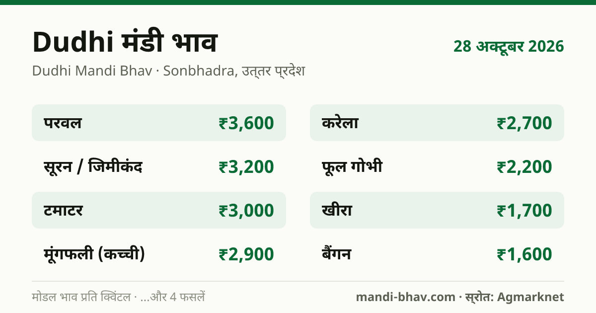Dudhi मंडी भाव 28 अक्टूबर 2026: फसलवार मोडल रेट प्रति क्विंटल