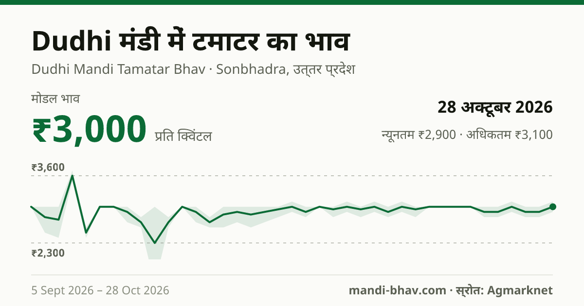 Dudhi मंडी में टमाटर का भाव 28 अक्टूबर 2026: मोडल ₹3,000 प्रति क्विंटल, भाव के रुझान का चार्ट