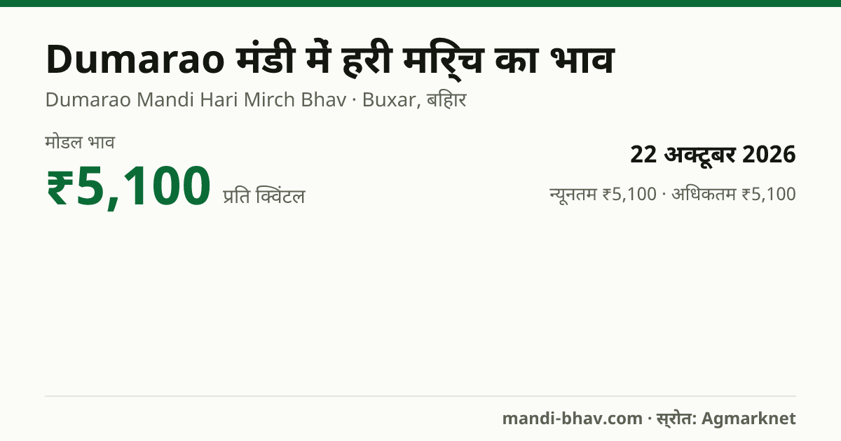 Dumarao मंडी में हरी मिर्च का भाव 22 अक्टूबर 2026: मोडल ₹5,100 प्रति क्विंटल, भाव के रुझान का चार्ट