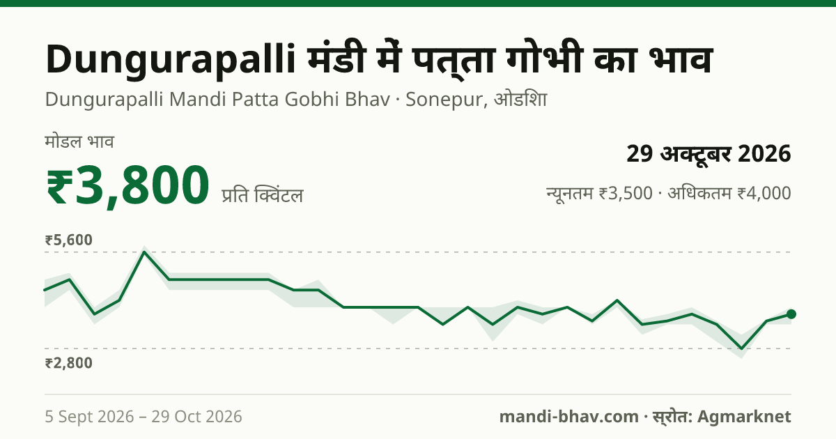 Dungurapalli मंडी में पत्ता गोभी का भाव 29 अक्टूबर 2026: मोडल ₹3,800 प्रति क्विंटल, भाव के रुझान का चार्ट