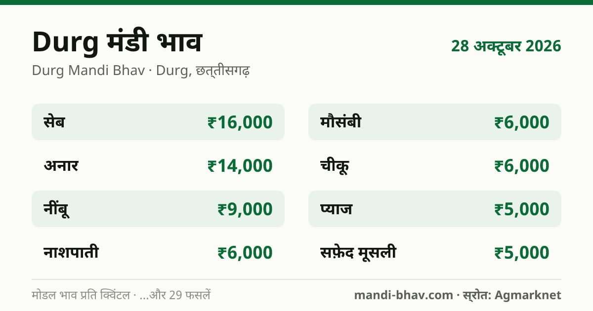 Durg मंडी भाव 28 अक्टूबर 2026: फसलवार मोडल रेट प्रति क्विंटल